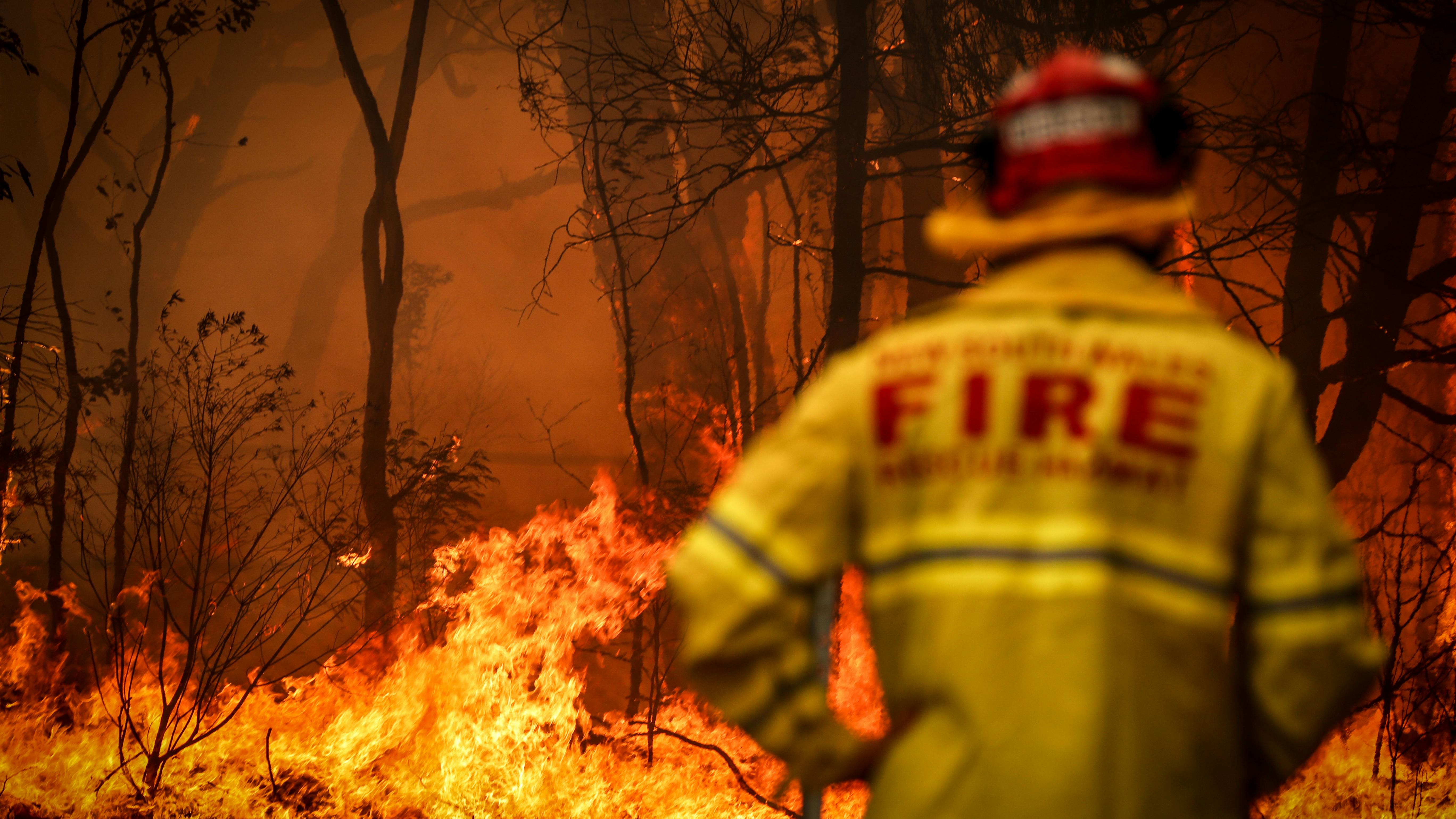 Warum der Wald in Australien brennt – und was wir daraus lernen können