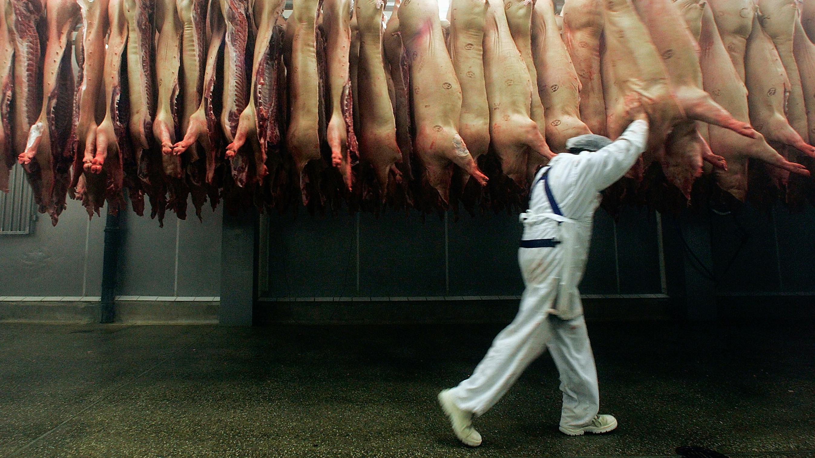 Vegetarier retten vier Millionen Schweine, aber viermal so viele verschwendet das System