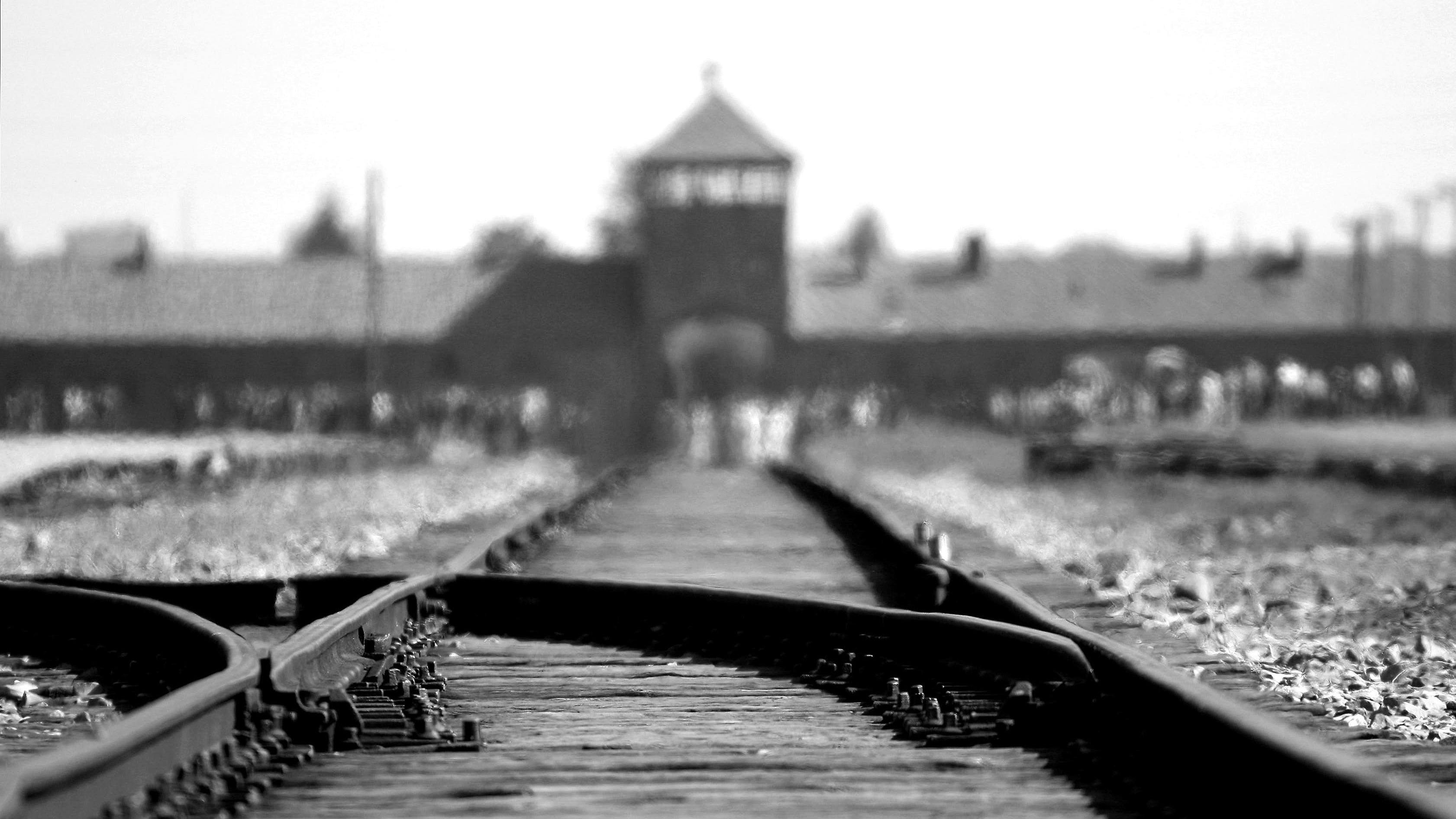 Gedanken von Krautreporter-Mitgliedern zu Auschwitz: „Ich habe nie auch nur annähernd eine Antwort bekommen“