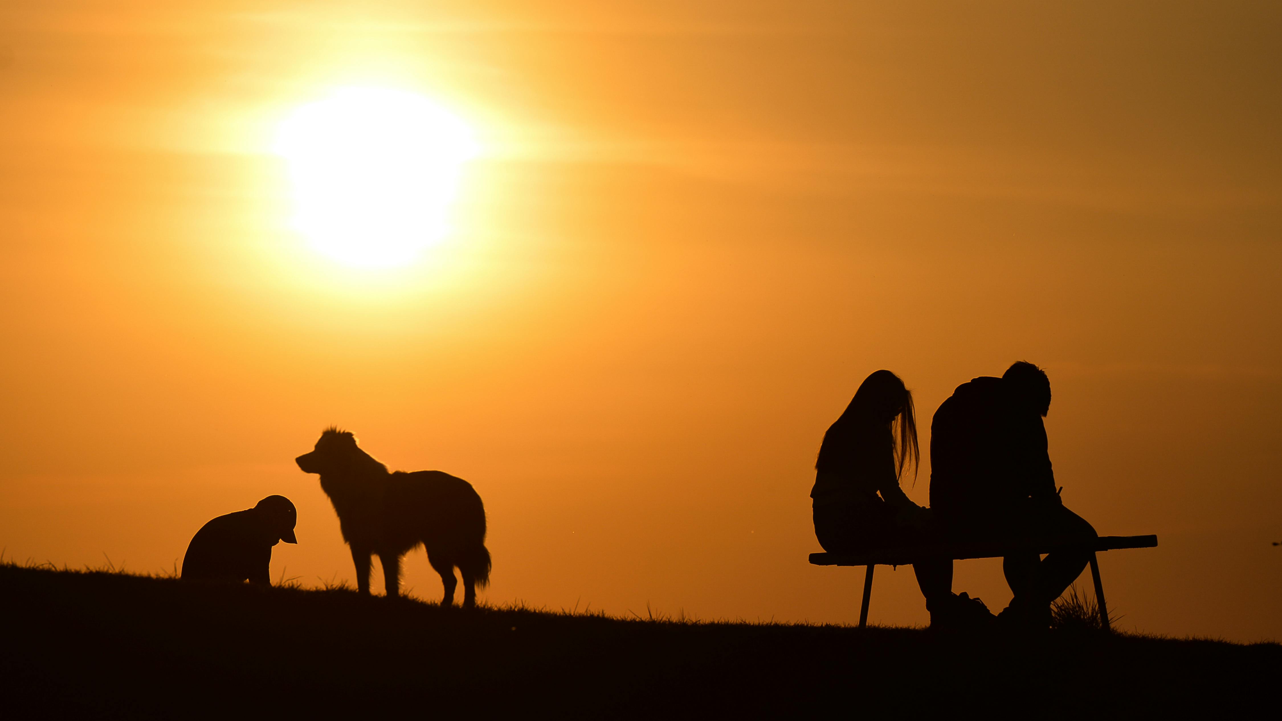Die Silhouetten von drei Menschen und einem Hund im Gegenlicht der Sonne gesehen.  