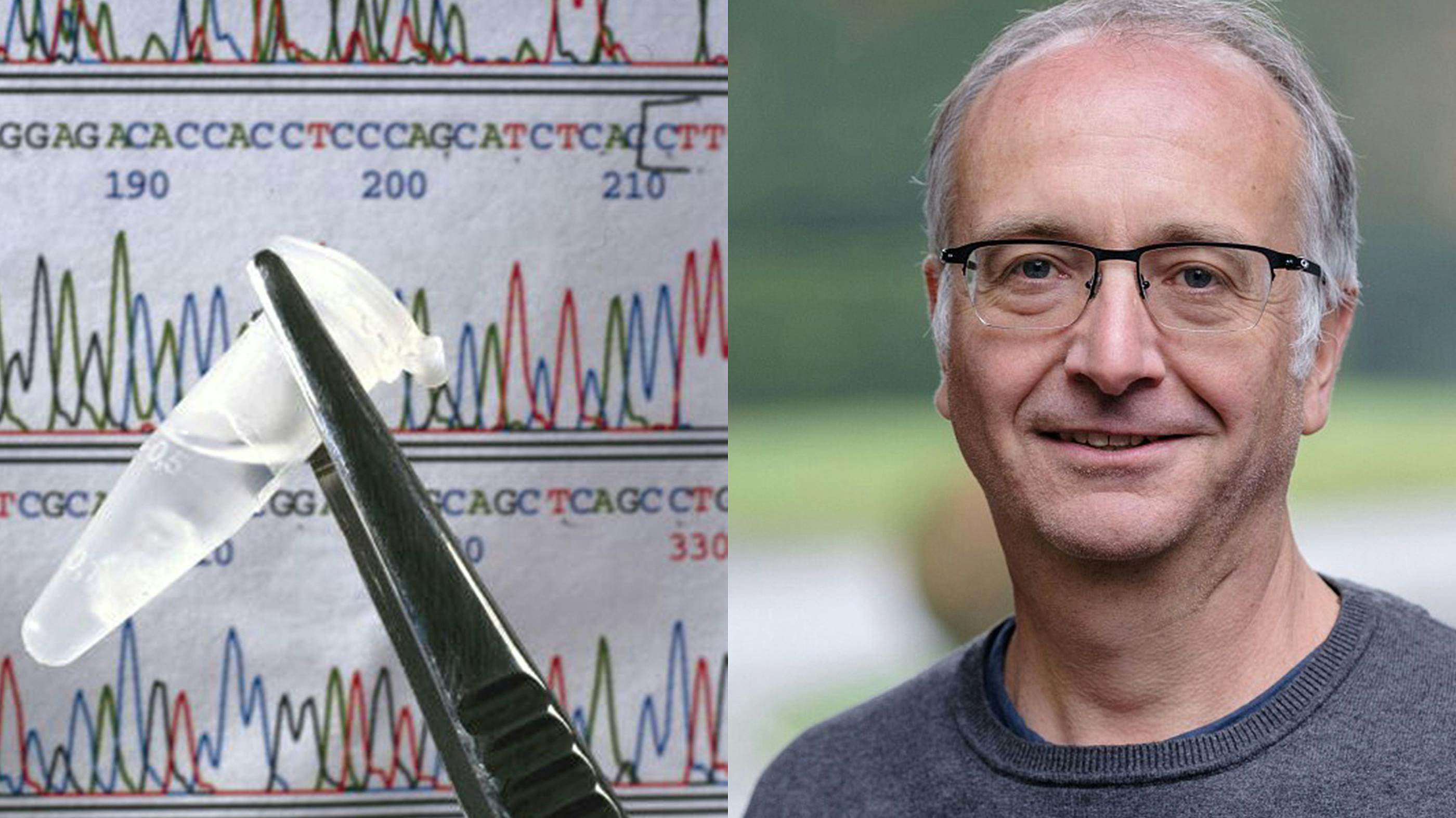 Links sieht man eine DNA-Sequenzierung mit einer Pinzette, die einen Flüssigkeitsbehälter hält, daran angegliedert den Experten aus dem Interview, den Forscher Prof. Friedemann Weber von der Uni Gießen.