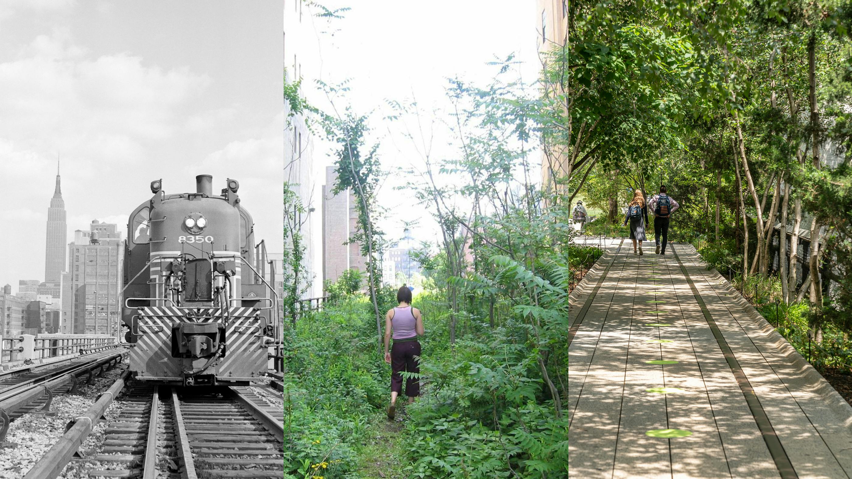 Die New Yorker Highline, ein Beispiel für die erfolgreiche Neu-nutzung von urbanen Brachflächen