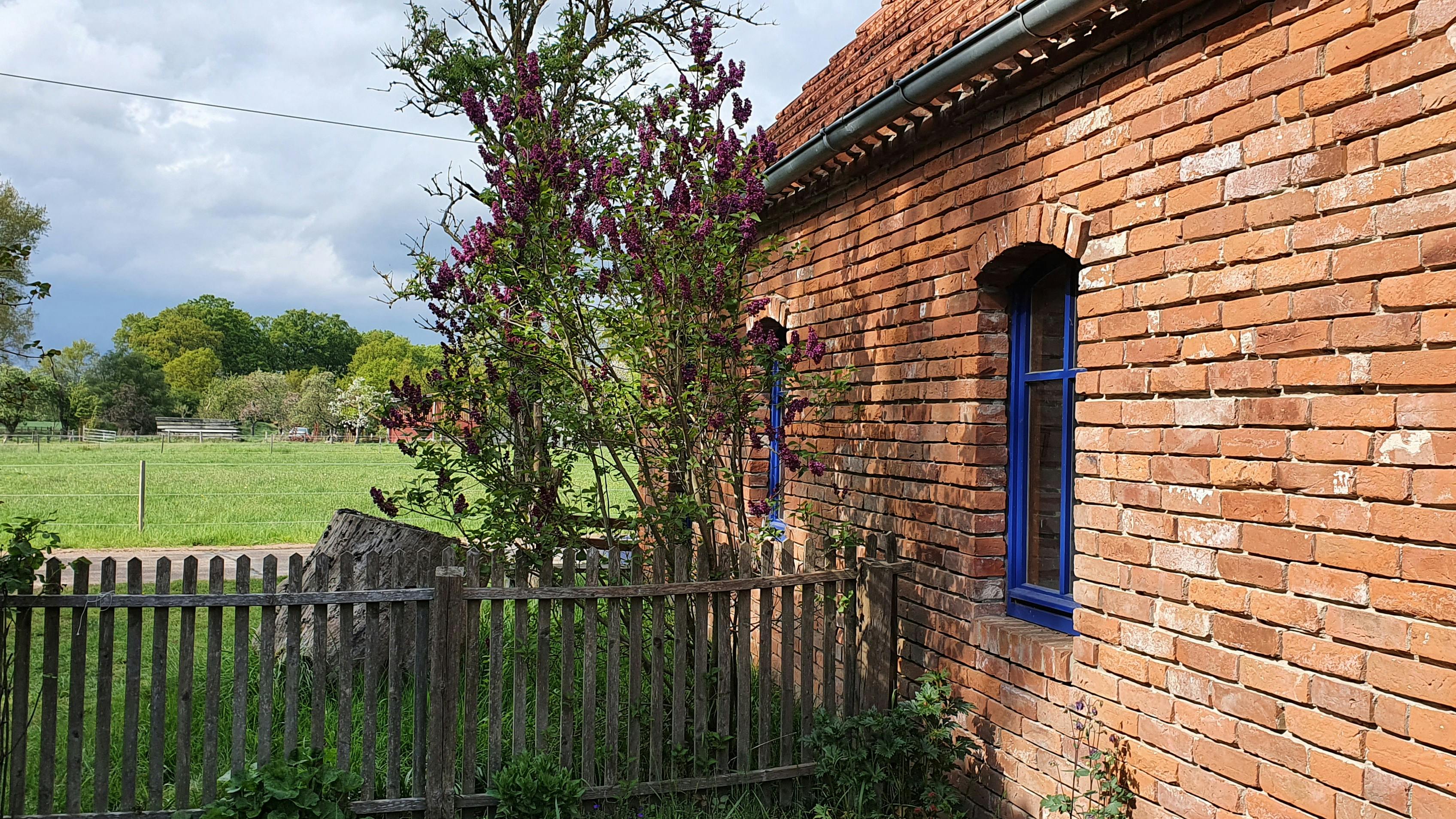 Ein Backsteinhaus, von Sträuchern umgeben, im Grünen.