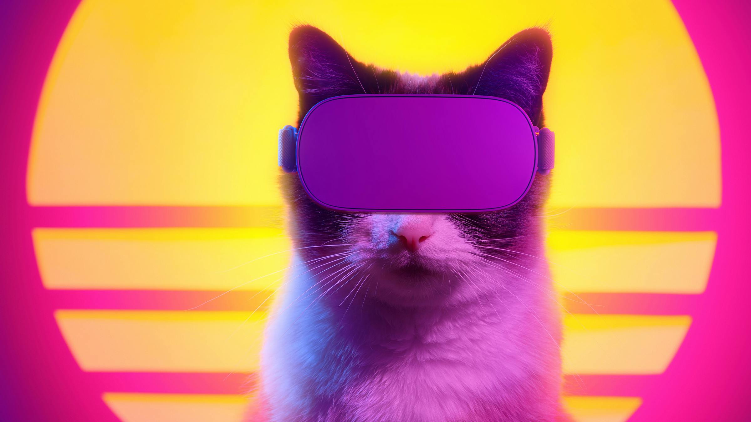 Das Bild zeigt eine Katze mit einer VR-Brille vor einer Sonne und einem pinkfarbenen Hintergrund