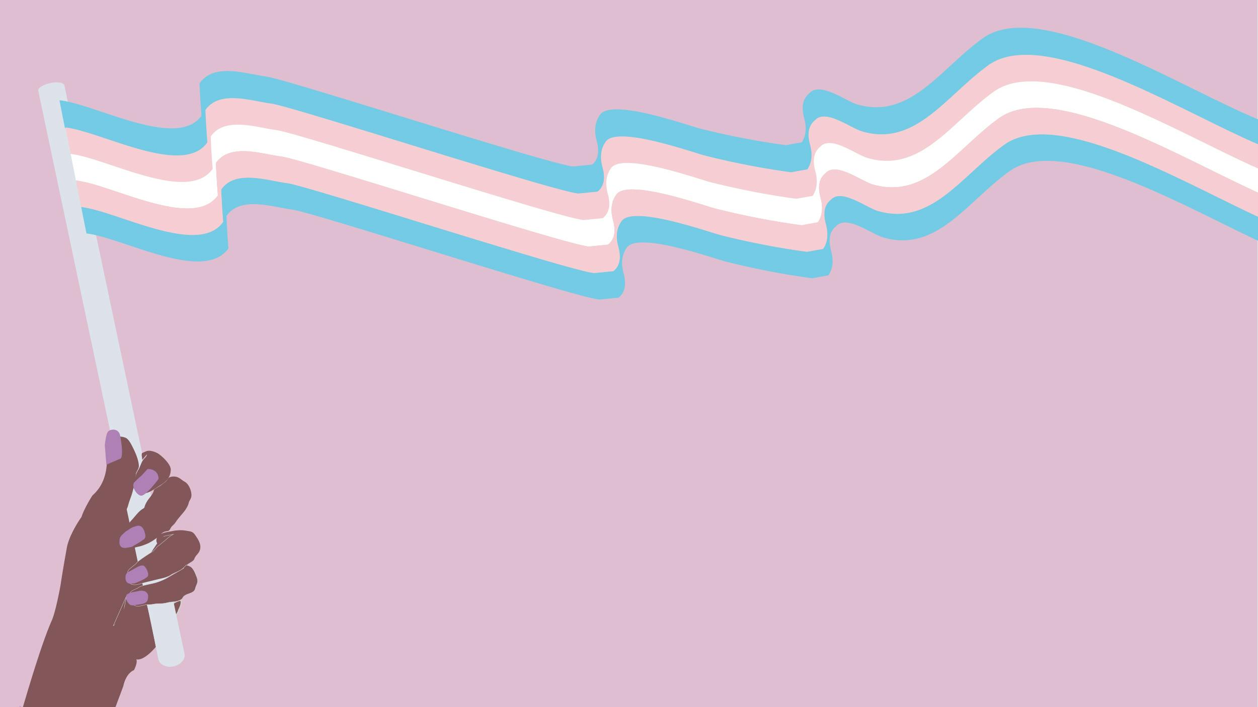 Illustration: Eine schwarze Hand hält eine Trans-Flagge. Sie ist blau-rosa-weiß gestreift. Der Hintergrund ist rosa.