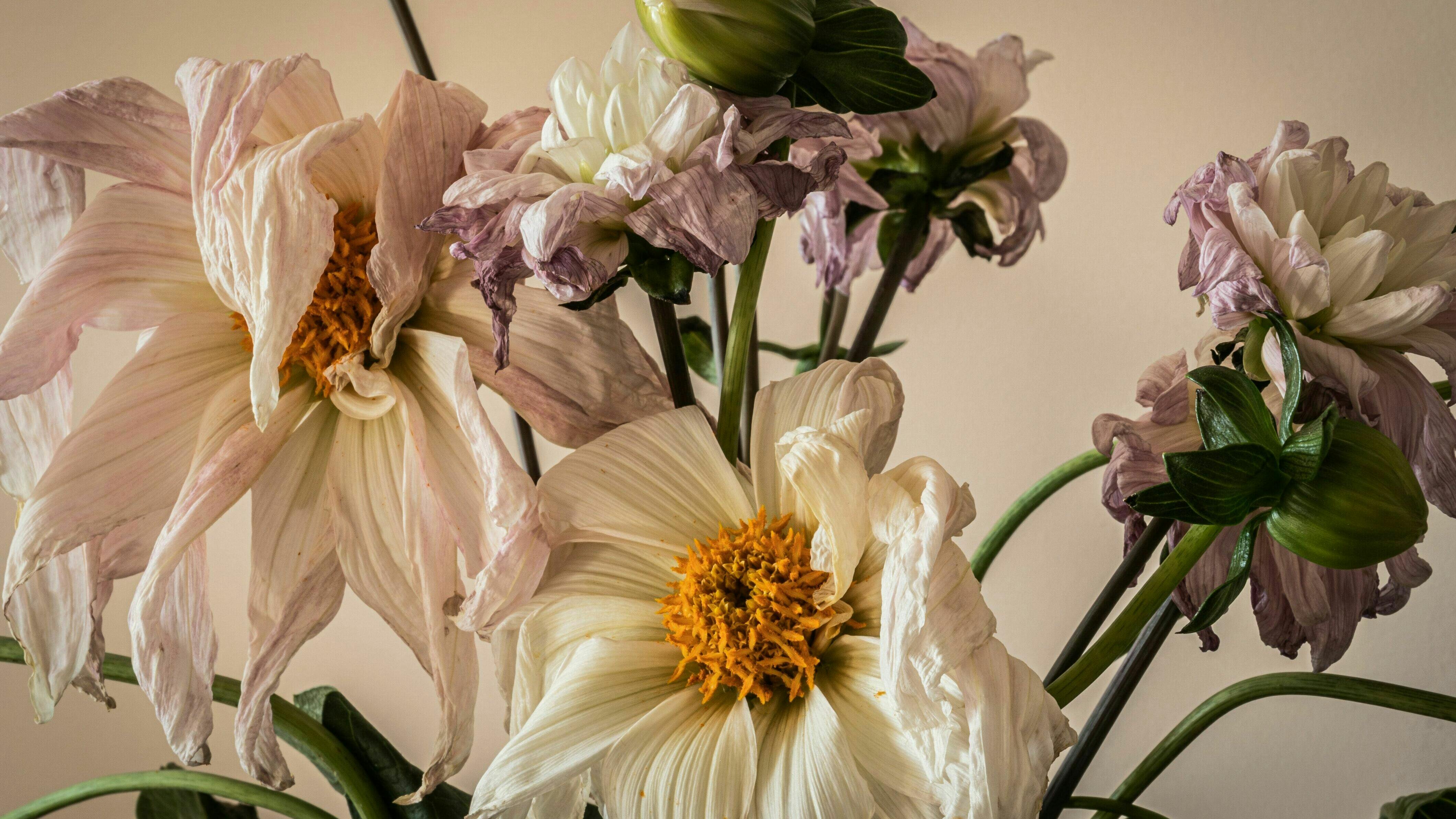 Man sieht einen verwelkten Strauss Blumen.