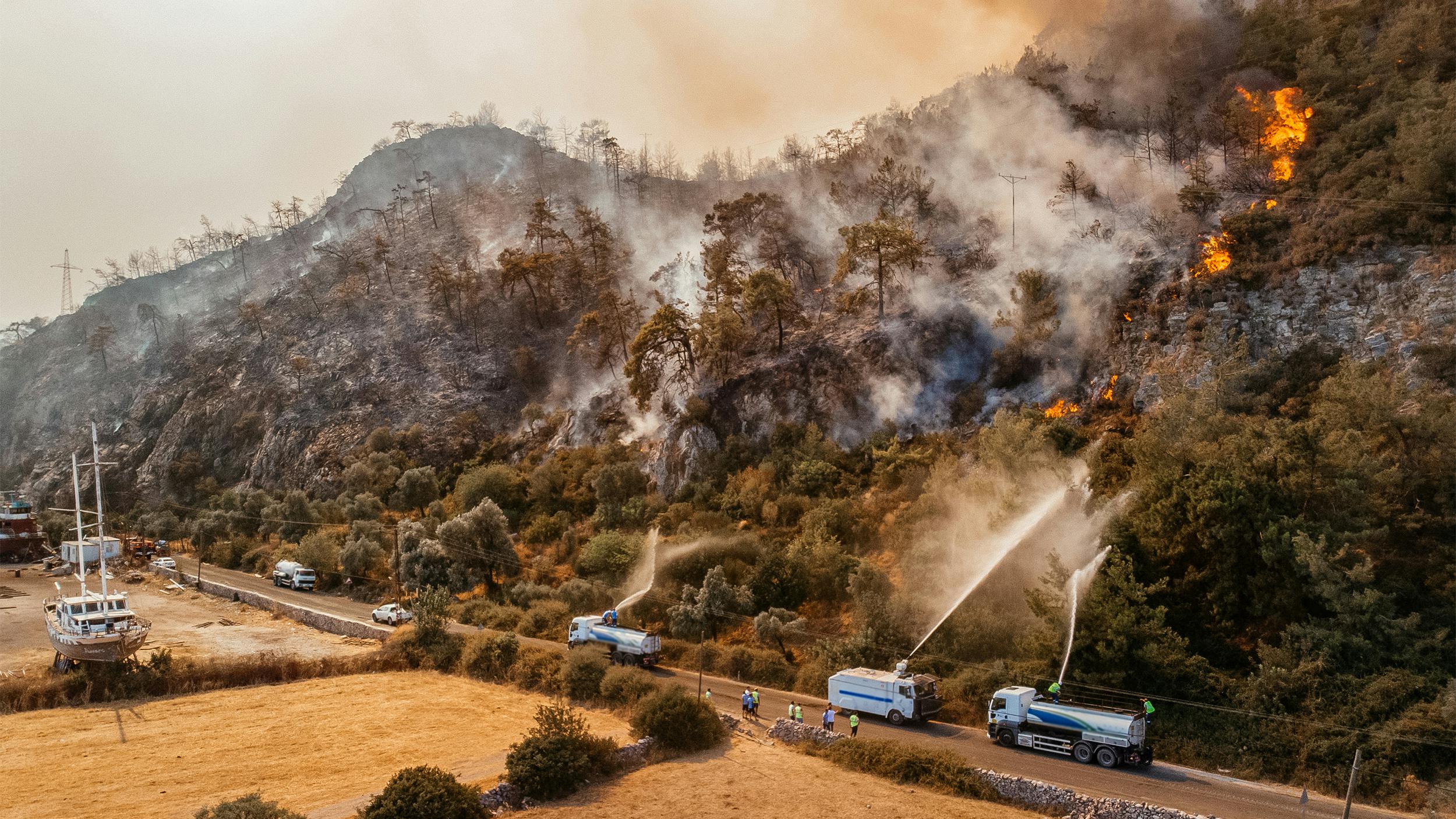 Brand an einem Hang in Griechenland. Feuerwehrfahrzeuge löschen. 