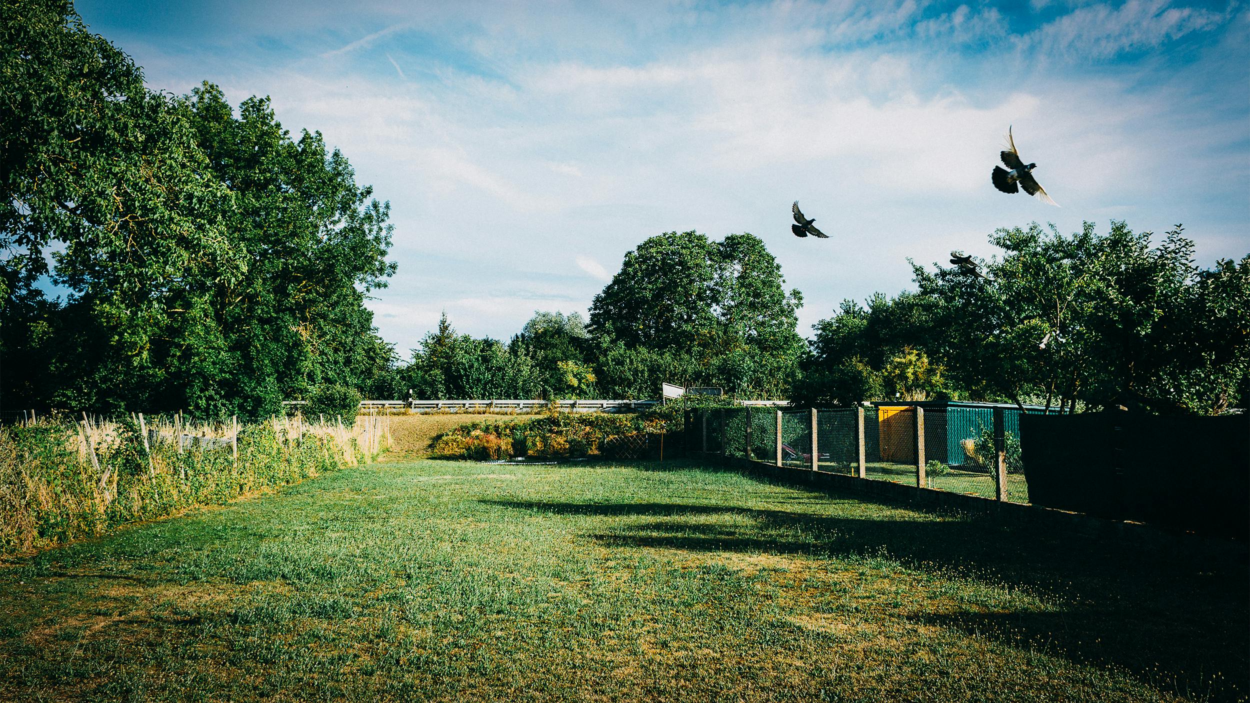 Bild eines eingezäunten Gartens mit Wiese und Blick auf Bahngleise